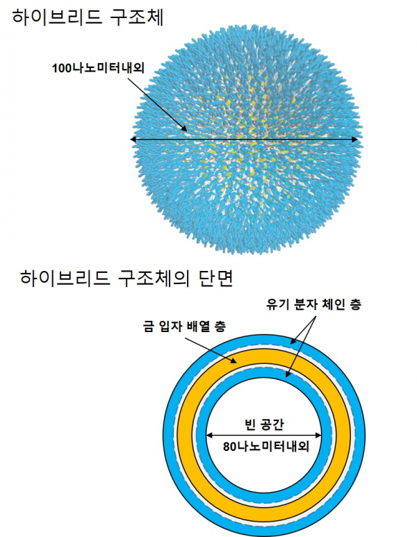 한국원자력연구원이 자체 개발한 금 나노입자 구조체
