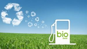 “Increase the mandatory blending ratio of biodiesel to 8.0% by 2030”